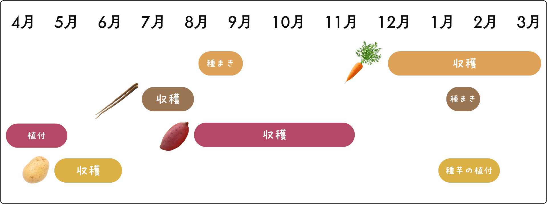野菜の栽培暦